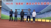 2014年世界杯八强彩票-2014年世界杯，八强彩票背后的足球激情与商业机遇