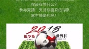 世界杯竞猜彩票结果-世界杯竞猜彩票的奇幻之旅，激情与策略的碰撞