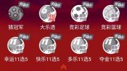 看世界杯买彩票-激情与希望，看世界杯购彩票的背后故事