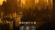 主角重生去赌世界杯-梦想穿越，再现辉煌，主角的重生之旅