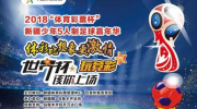世界杯体育彩票玩法-一日三赛之乐，揭秘世界杯体育彩票的多彩玩法