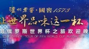 网络彩票 世界杯-网络彩票与世界杯的跨界，乐趣、风险与合规之道