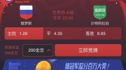 世界杯彩票怎么买靠谱-世界杯彩票购买攻略，理性选择，稳中有序