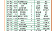 下注世界杯网站-揭秘世界杯盛宴，安全与理智地参与下注网站体验