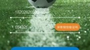 世界杯竞猜安装-世界杯竞猜，解锁娱乐与预测双重魅力的应用安装指南