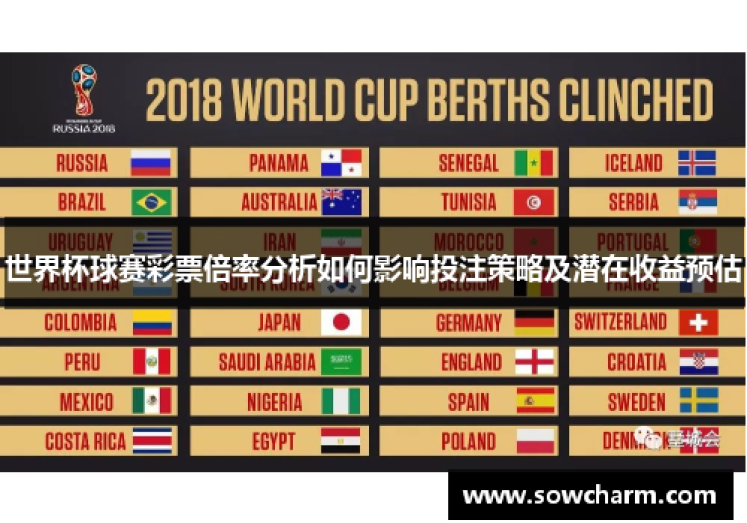 世界杯彩票都在哪里吗-世界杯彩票的购买途径与注意事项