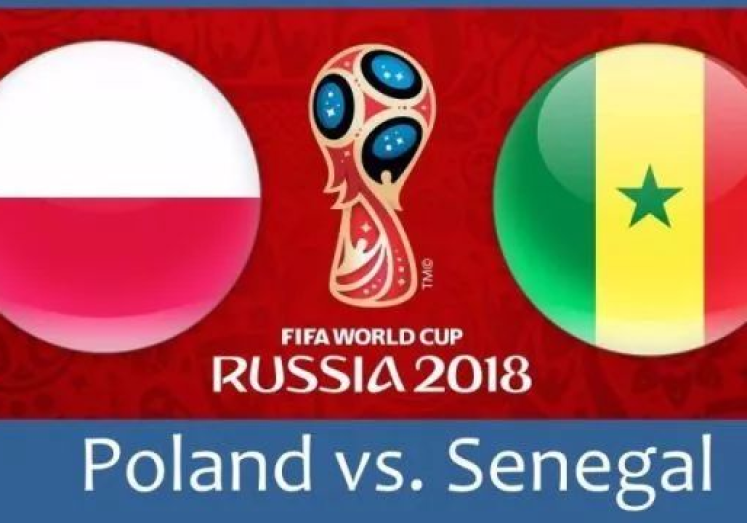 支付宝投注世界杯-支付宝在世界杯期间的创新投注体验探析