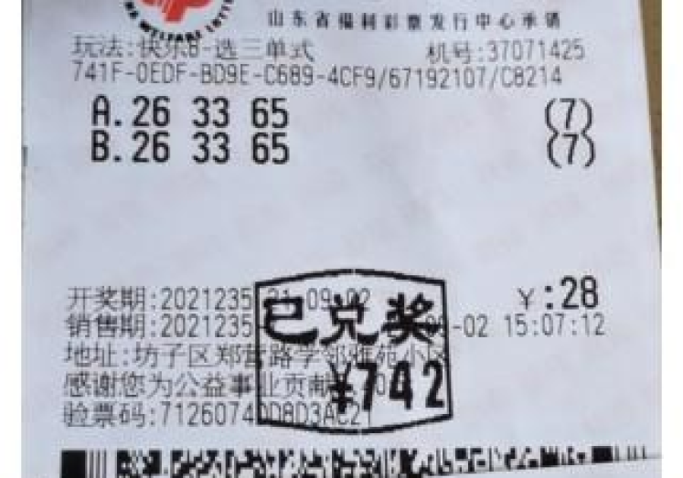 足球世界杯彩票玩法-深度剖析，足球世界杯彩票的众多精彩玩法